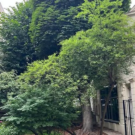 Spacieux Au Coeur Du 9 Eme Arrondissement Apartment Paris